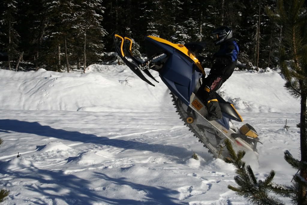 dogsledpics07288.jpg