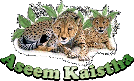 Aseem's Collection Courtesy Aarthi