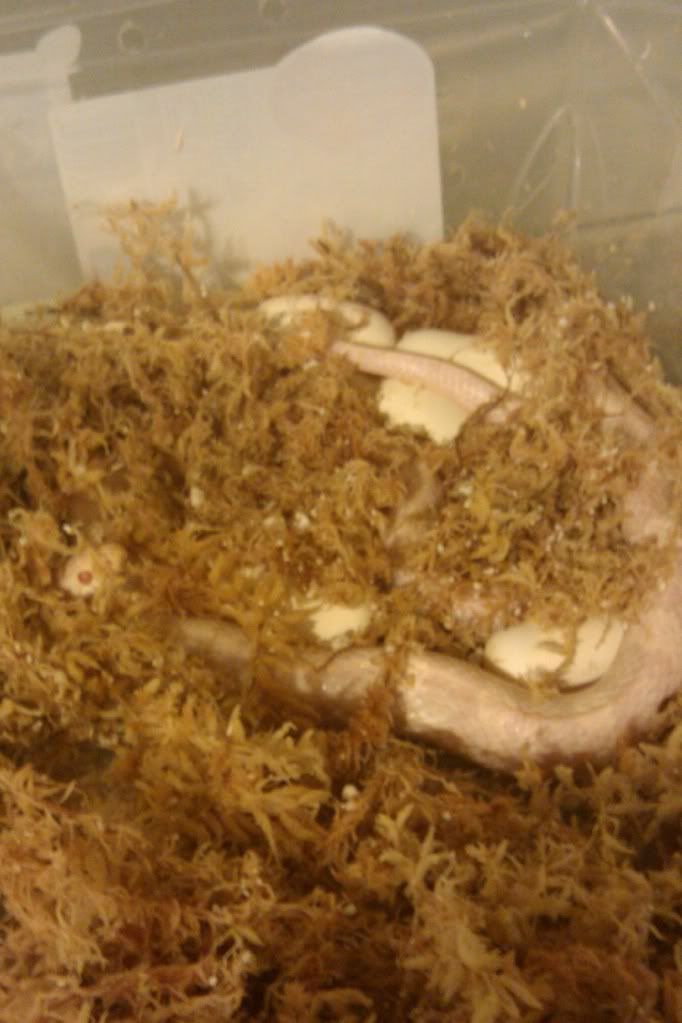 IMAG0387.jpg