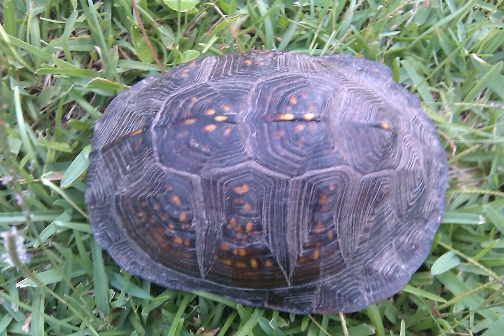 IMAG0395.jpg