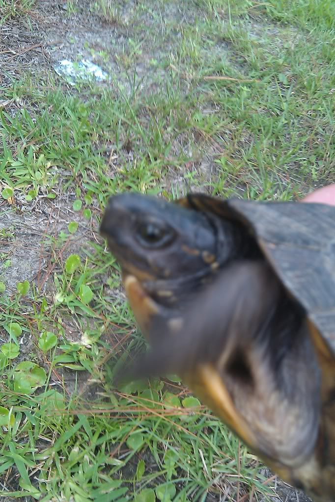 IMAG0398.jpg