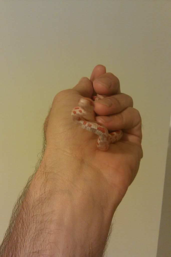 IMAG0463.jpg