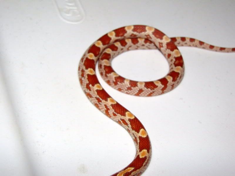 baby5.jpg