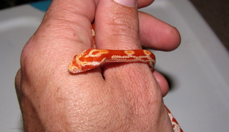 baby6.jpg
