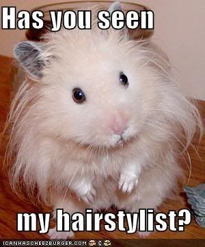 HairStylist
