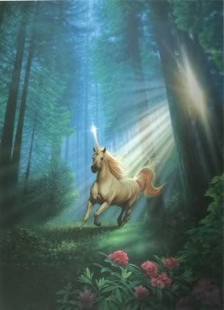 Unicorn in Mystic Forest Pictures, Images and Photos