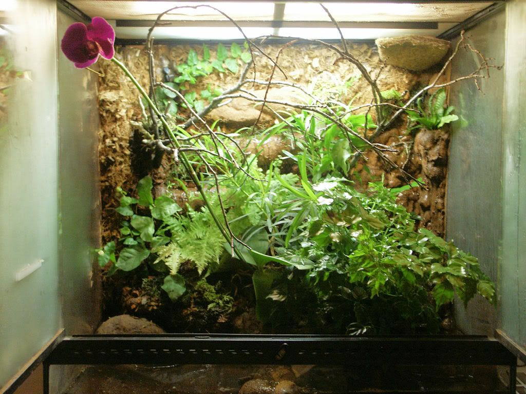 Best Vivarium