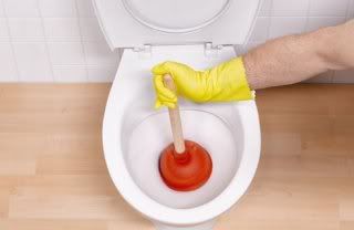 Bills plunge photo Plunger-Toilet-Lg--gt_full_width_la.jpg