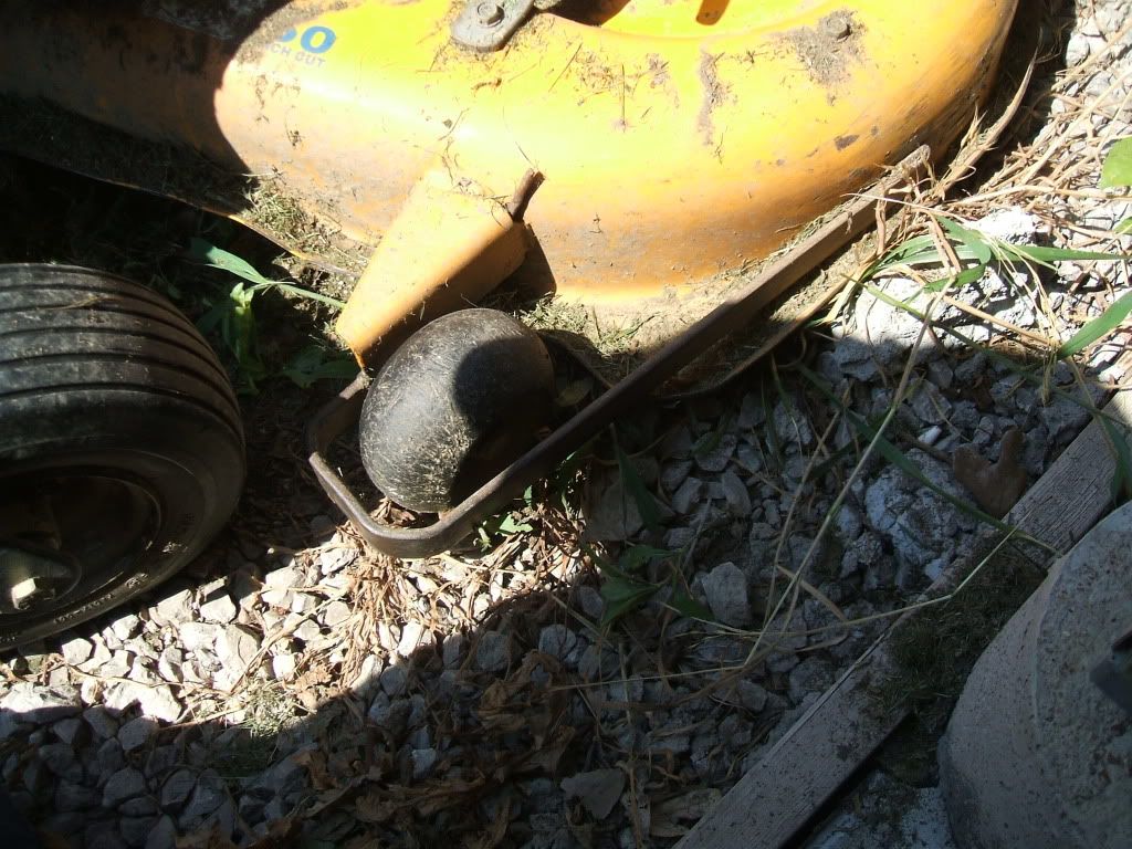 DSCF0590.jpg