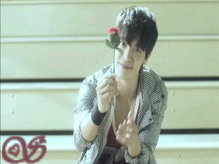 donghae's rose