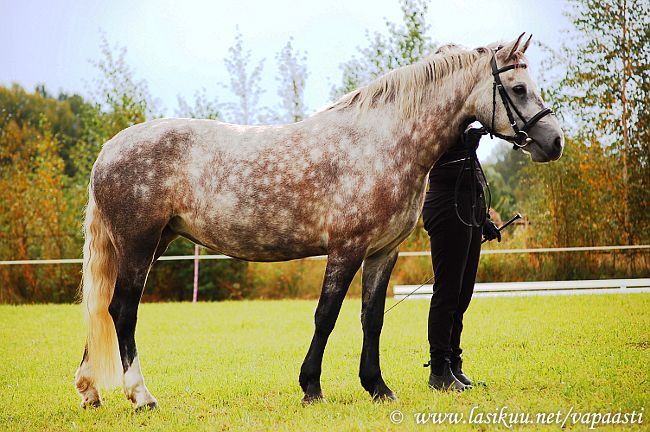  photo forfreeuse11C.jpg