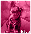 diva_icon_zps04c308a6.png