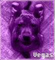 vegas_icon_zpsa127f357.png