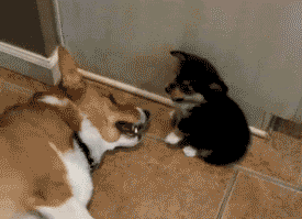 tumblr_ly85b5V8Yb1r3o9xzo1_400.gif