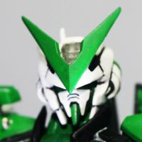 NG 1/100 Astray Green Frame KrazyTong Custom