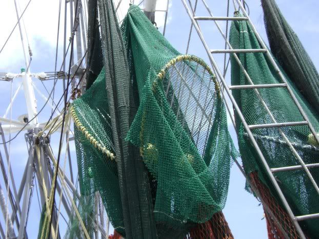 trawler nets