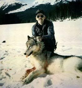Dead wolf Pictures, Images and Photos