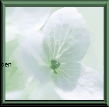 mooi-1.gif gedichtje image by froukje50