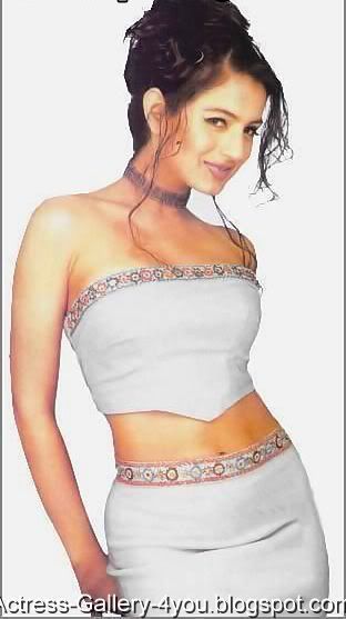 Amisha Patel hot sexy pictures
