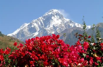 Jomsom--Ghorepani-trek