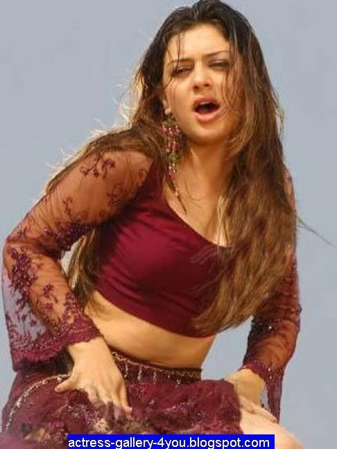 Bollywood Hot Actress Hansika Motwani Picture 02