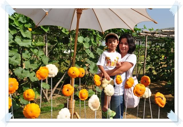 26 ธ ค 2552 เที่ยวจิมทอมป์สันฟาร์มครับ