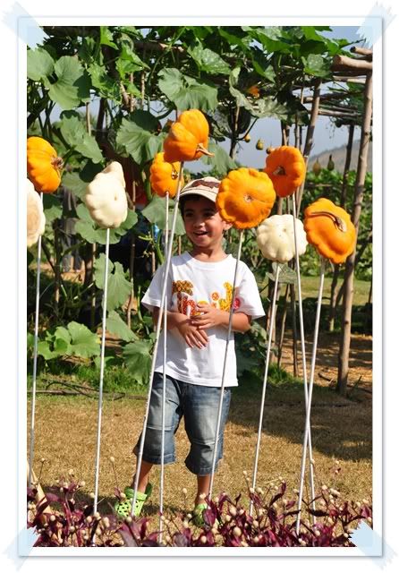 26 ธ ค 2552 เที่ยวจิมทอมป์สันฟาร์มครับ