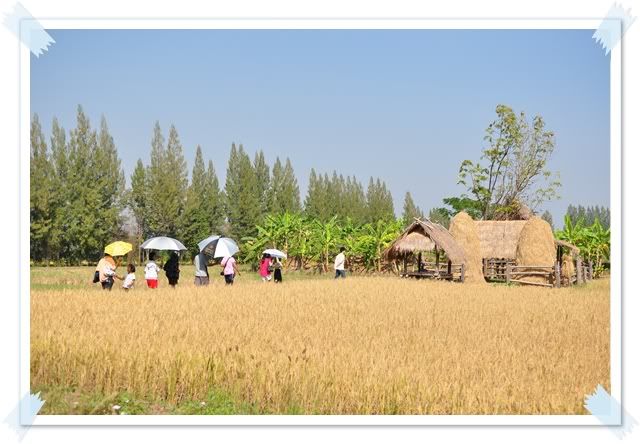26 ธ ค 2552 เที่ยวจิมทอมป์สันฟาร์มครับ
