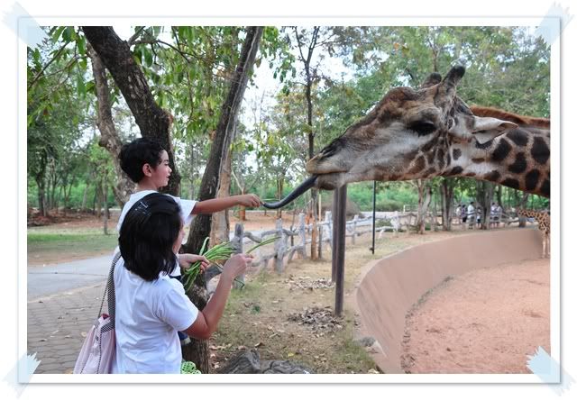 26 ธ ค 2552 เที่ยวจิมทอมป์สันฟาร์มครับ