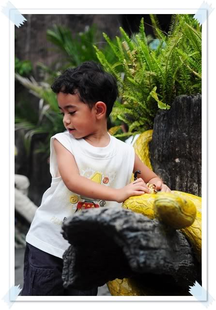 6 ก ค 52 สวนสัตว์เขาดิน กิจกรรมวันหยุดของเรา