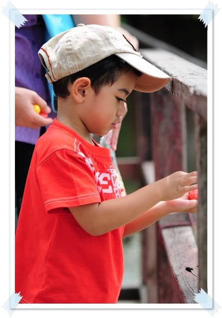 18 ก ค 52 ไปเที่ยวอยุธยาครับ