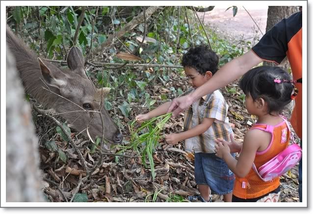 ปุณไปเที่ยวเขาใหญ่ ปากช่องมาครับ