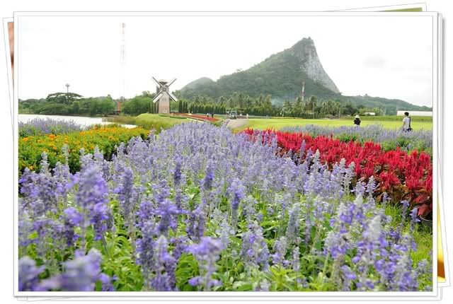 5 6 ก ย 52 เที่ยวพัทยาครับ