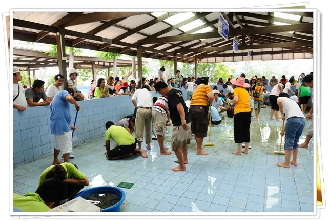 5 6 ก ย 52 เที่ยวพัทยาครับ