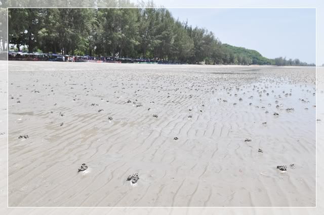 30 เม ย 2 พ ค 52 เที่ยวทะเล เกาะทะลุ บางสะพาน ประจวบฯครับ 1