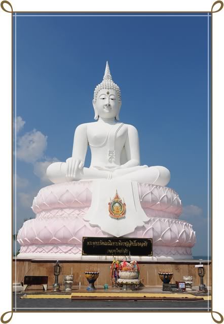 ทุ่งทานตะวัน 15 พ ย 52