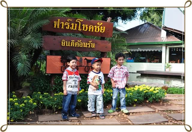 11 12 ธ ค 52 ฟาร์ม ชคชัย Palio Primo posto