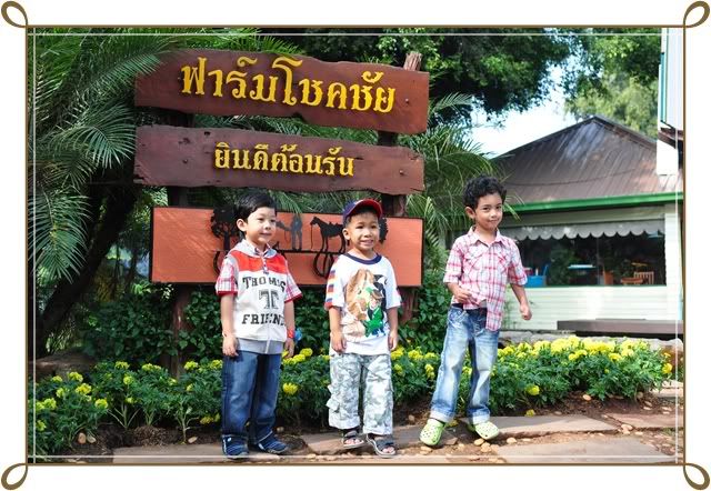 11 12 ธ ค 52 ฟาร์ม ชคชัย Palio Primo posto
