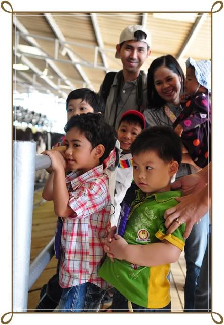 11 12 ธ ค 52 ฟาร์ม ชคชัย Palio Primo posto