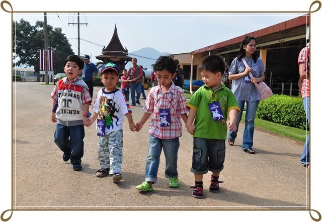 11 12 ธ ค 52 ฟาร์ม ชคชัย Palio Primo posto