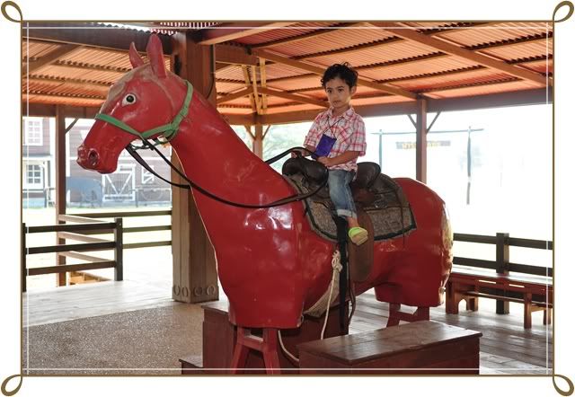 11 12 ธ ค 52 ฟาร์ม ชคชัย Palio Primo posto