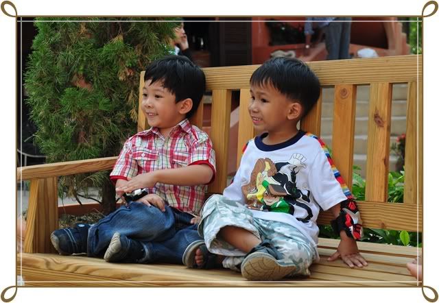11 12 ธ ค 52 ฟาร์ม ชคชัย Palio Primo posto