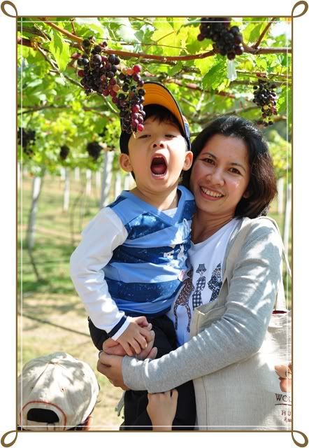 11 12 ธ ค 52 ฟาร์ม ชคชัย Palio Primo posto