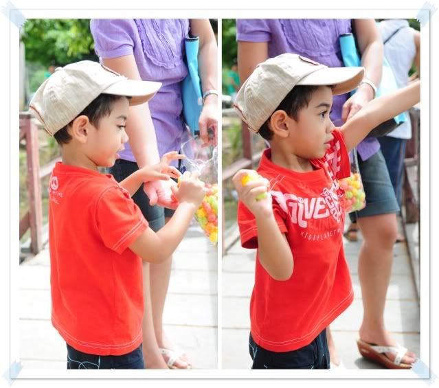 18 ก ค 52 ไปเที่ยวอยุธยาครับ