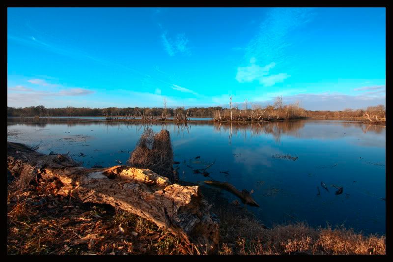 IMAGE: http://i245.photobucket.com/albums/gg62/Stargazer_54/landscapes/40acre1208copycopy.jpg