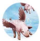 thwhenpigsfly.jpg