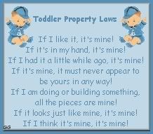 toddler laws Pictures, Images and Photos