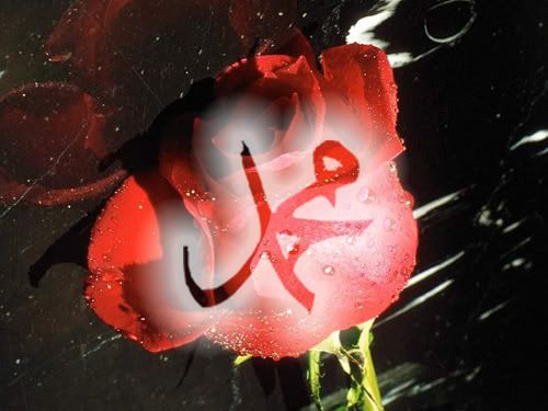 35aoyhi.jpg