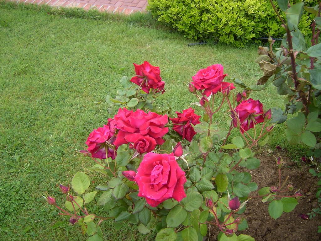 PICT0644.jpg