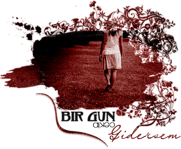 _1.png